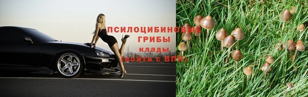 Альфа ПВП Балахна