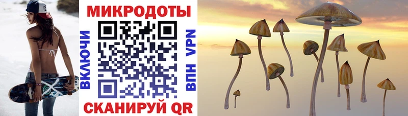 Псилоцибиновые грибы прущие грибы  купить наркотик  Буйнакск 